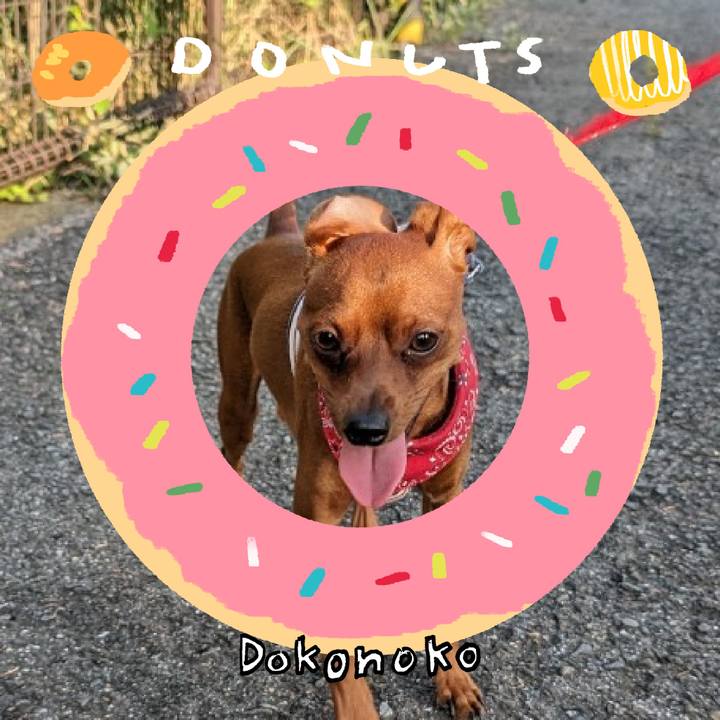 Cd16e5b9 a611 4b23 ad61 800afc638951 1744814547635