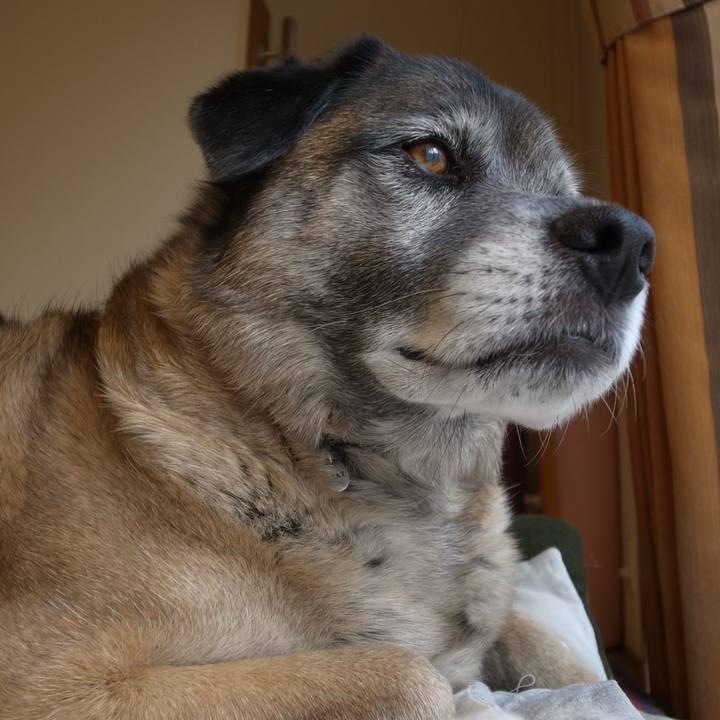 Cd171e49 9da4 47b5 ba7d 8f7d4f630b42 1598743226203