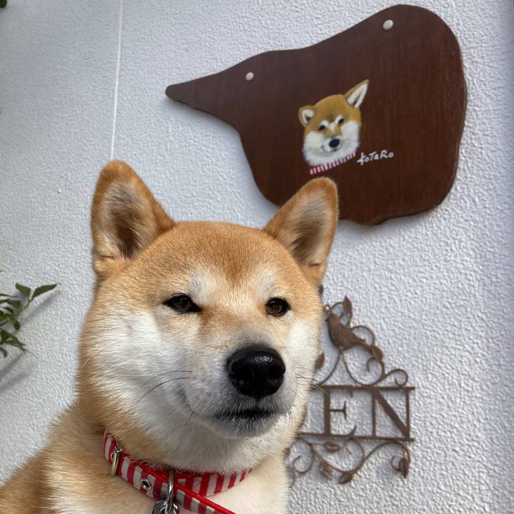 Cd171fc0 6e35 42d4 a2cd 5239b36f3cf3 1643287595014