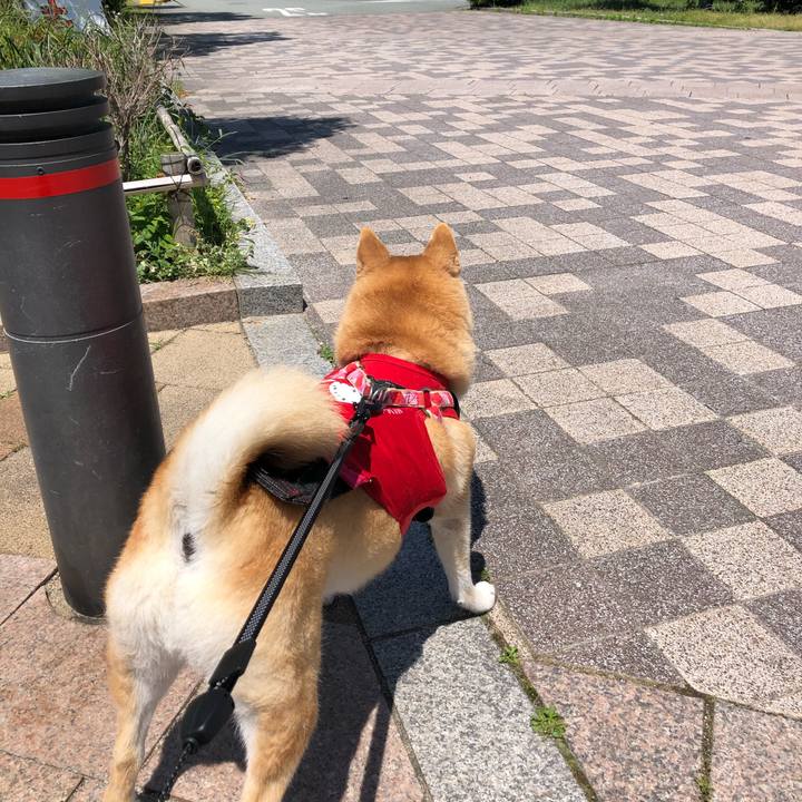 Cd1731cd 337b 43ae b7ca 3ccb5ffe553e 1557545659674