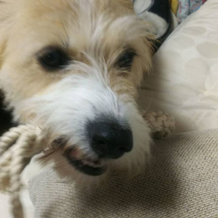 Cd1739b5 87a5 40da acf8 2a76fde06b0b 1508328204023