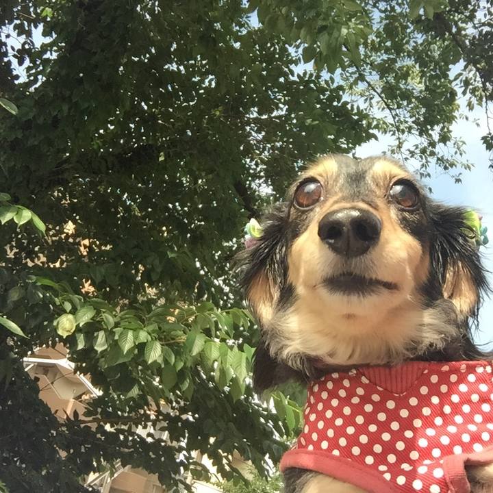 Cd17597c efdf 49ef 8167 c2f8d1e45d90 1529375170507