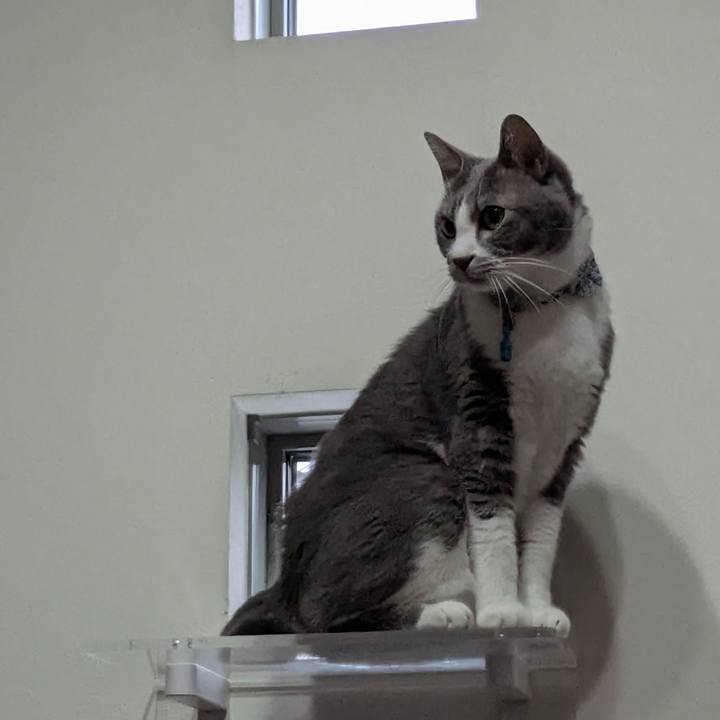 Cd17cf5c 14dd 4f1d 9153 0aea515f48fd 1761304529324