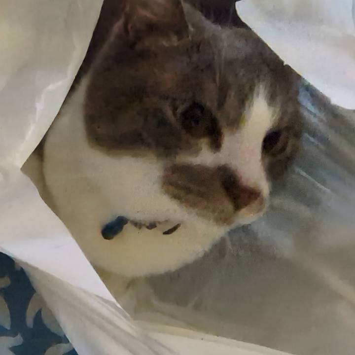 Cd17f0d4 3fe4 4bd0 9176 dd1ff7c452c3 1772377256303