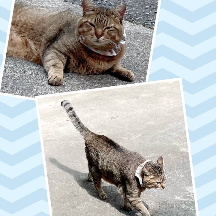 Cd17fb19 72d4 4c50 922a 60f3ffcc1ee9 1687912561655