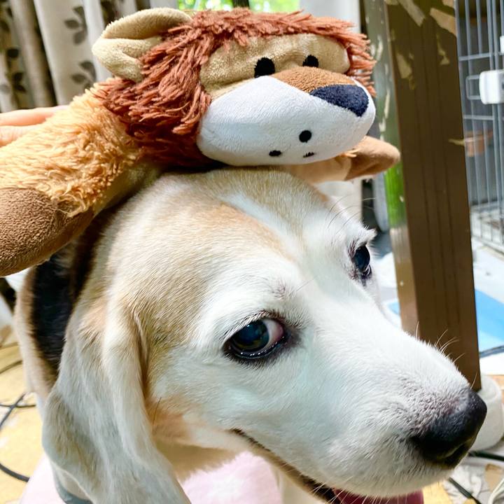 Cd17fe53 8de7 42e9 b319 38f2b090035d 1655610233153