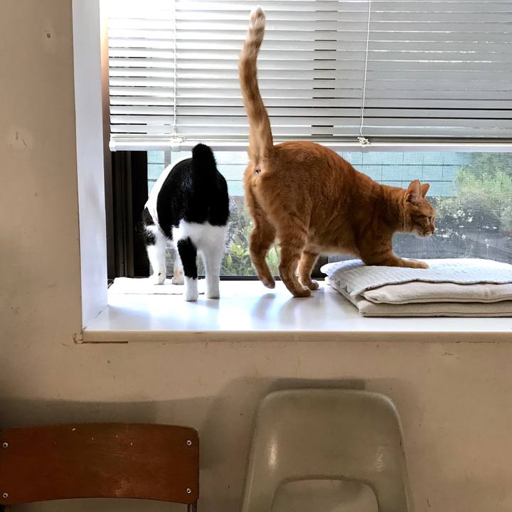 Cd18071a 4cb5 4eec 98c2 c793ae4397fe 1538529644662