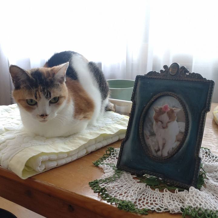 Cd182ceb b77b 4d70 9b2f 3f597008e000 1726627348492