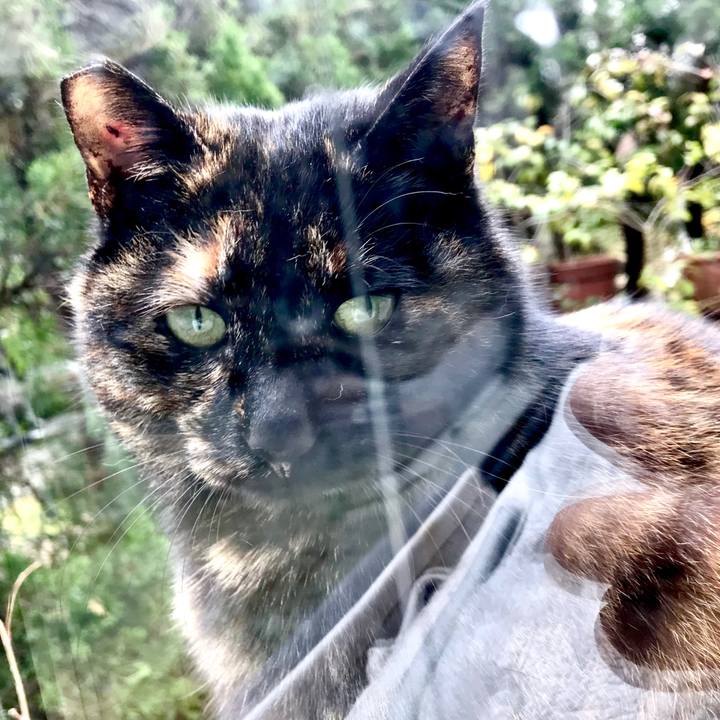 Cd187f85 eb3b 464a b555 0522d2a28dd5 1520749663893