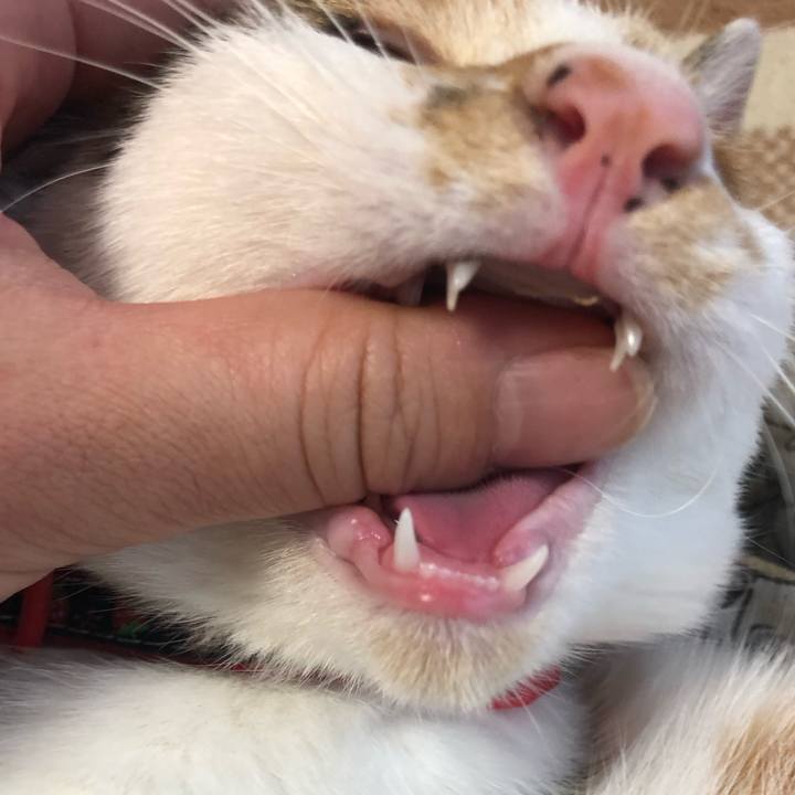 Cd189c71 fa64 45c0 af41 78dc8fec69b3 1570844641666