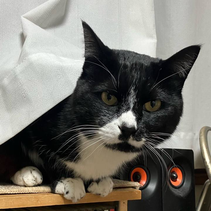 Cd18adbb 1ef3 4fc5 abea 919b827a213f 1712028870489