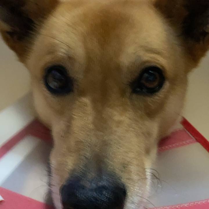 Cd18d493 abc7 4c02 9c82 4fae0155b088 1751777477789