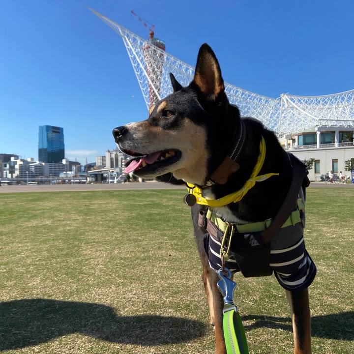 Cd18f91b 9846 4539 9b19 efa76db00917 1700021216008