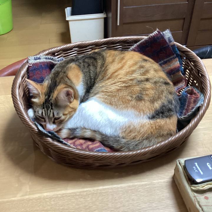 Cd1913d0 0980 4cbc b4ea 05aaac7d330e 1680902191942