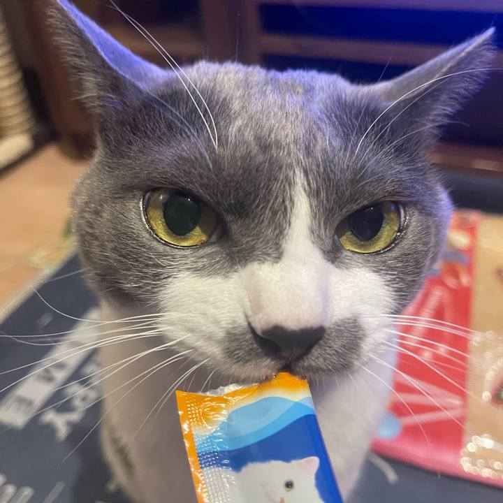 Cd194e28 9295 4051 868d 688e5a3d4ce8 1696500020330