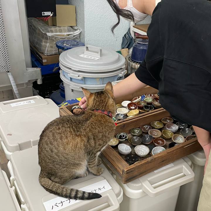 Cd198ecf c6be 4ee9 997c b6d529c77596 1732363029538