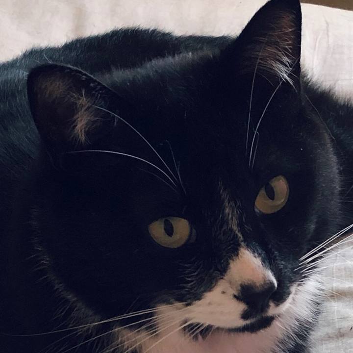 Cd1995d0 65cf 45dc 8eb8 51f9ff8c2f23 1590206011508