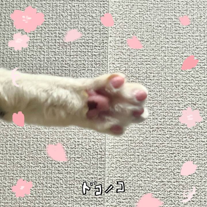 Cd19ad0a e109 4b02 9647 0a4604077905 1744286345530