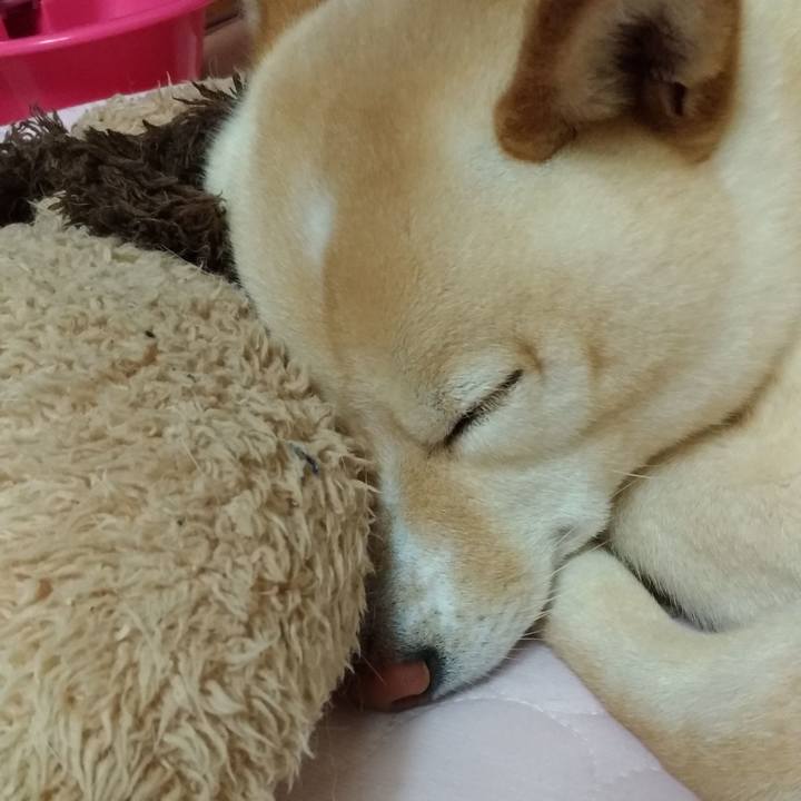 Cd19cdb3 b52e 4e00 a91b 9f151d03c559 1589459566948