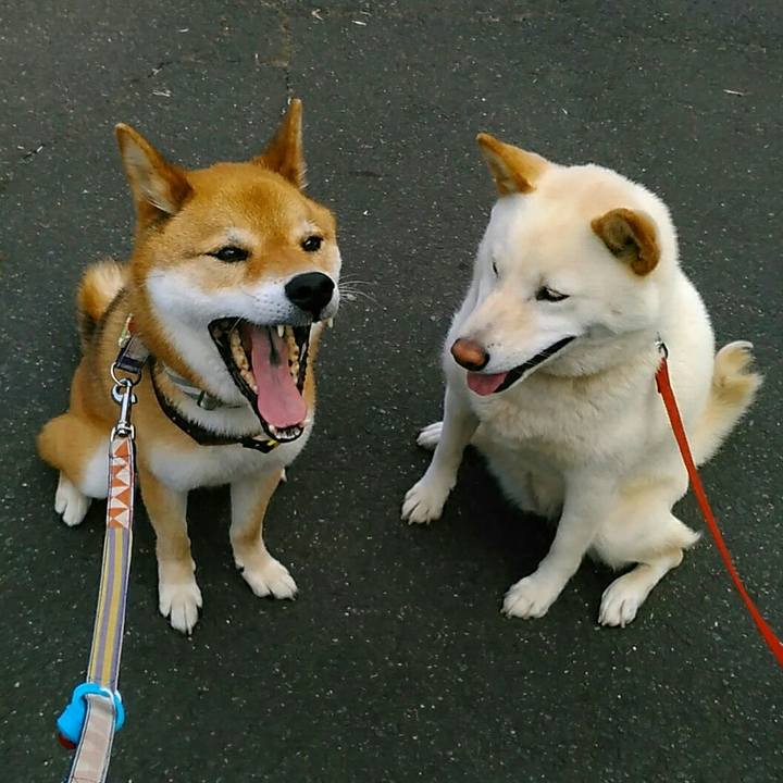 Cd19f5b5 2bb4 4f47 96cf 488e82e09b0f 1562744377235