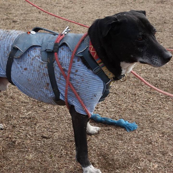 Cd1a08a3 4d0f 4027 b80a 2abd464c9b00 1740702414648