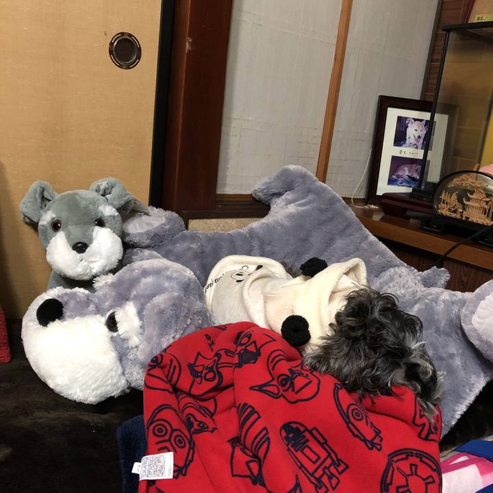 Cd1a1a4f 978c 4ba6 b5b4 26ed4327dedd 1542718514579