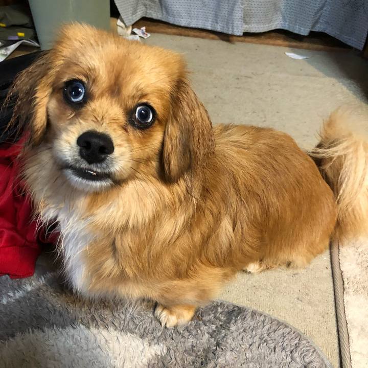 Cd1a61ac 54d0 469c 98de 336e0e69914f 1521583990490