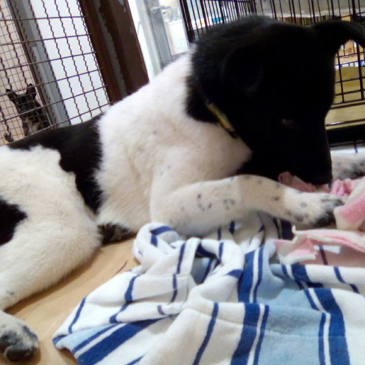 Cd1a6a63 f944 413b b562 1f70a2a52e37 1525612346772