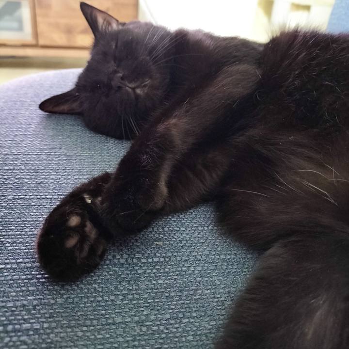 Cd1a6aa6 93a9 43ff b305 ec639f1767d8 1693226950104