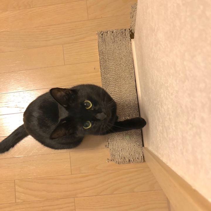 Cd1aa298 e3e1 4b41 a99f 38ca721d7d09 1543324125775