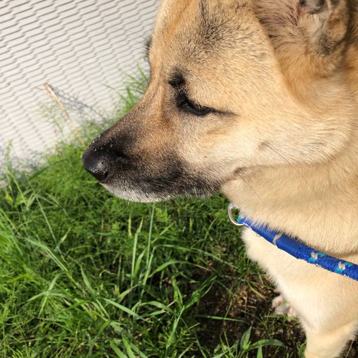 Cd1af1c8 fb96 442b 880e c79487d3e396 1529668985920