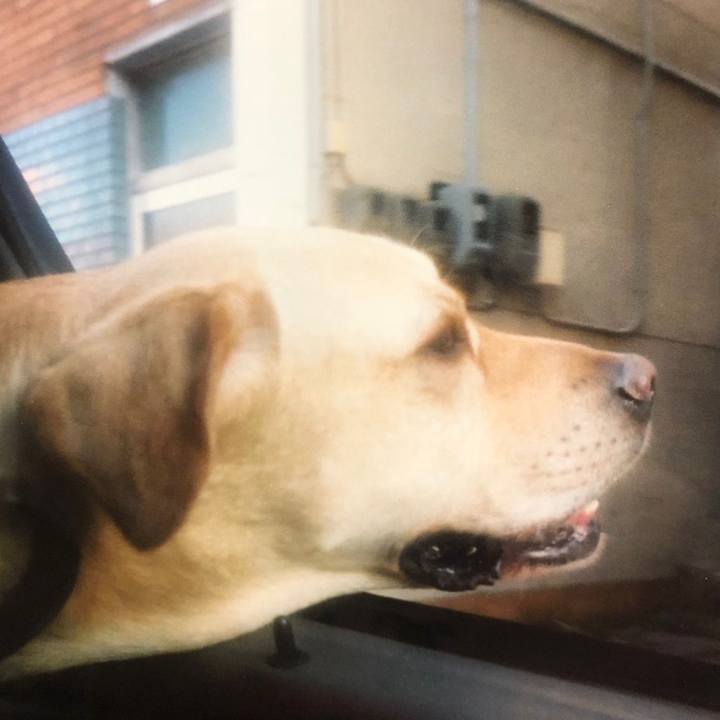 Cd1affde 02f5 48f9 8abe 6d278a066a09 1559747907652