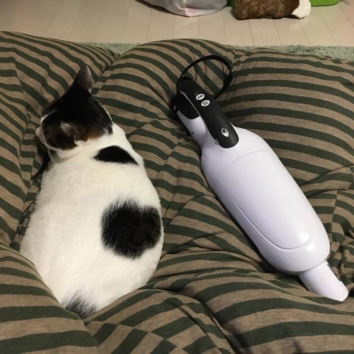 Cd1b0813 7f06 4cff a287 8e5c093af191 1515248616763