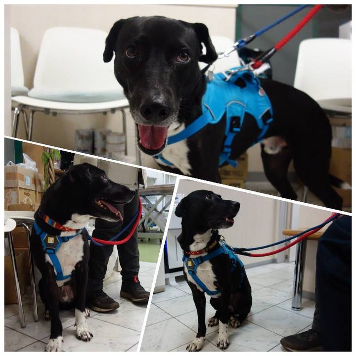 Cd1b13c2 2ca0 4752 83f3 3aead7fc1357 1613733627531