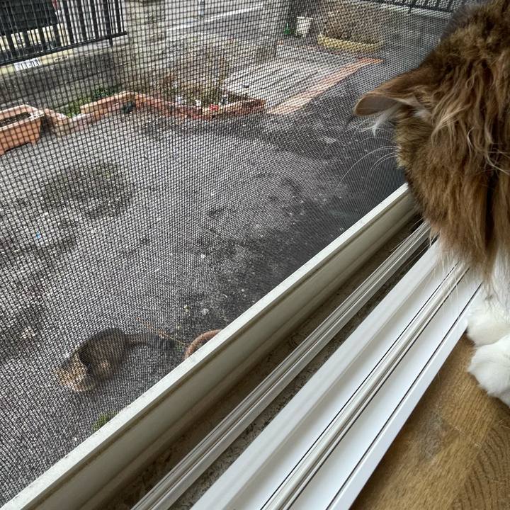 Cd1b221c 026a 4db3 a7be 67756d912c85 1680214235731