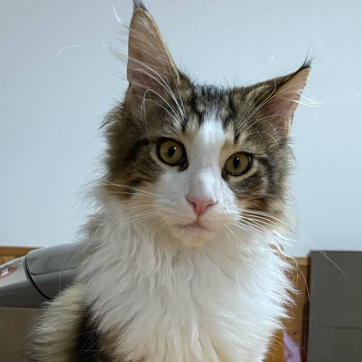 Cd1b30f7 f3a2 420f b404 7905e1b51ce7 1636143354691