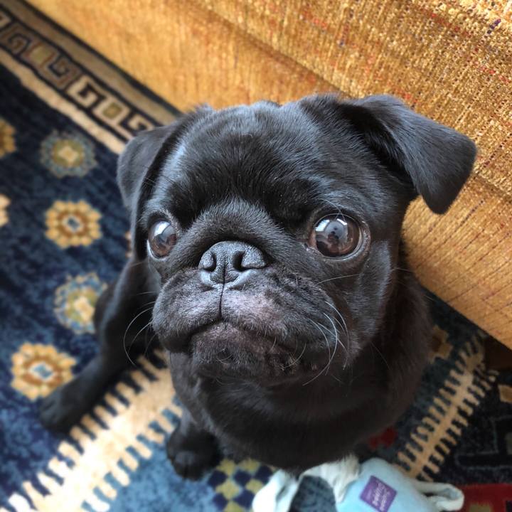 Cd1b4943 1c72 4fae 8dea 026210428d31 1607735646966