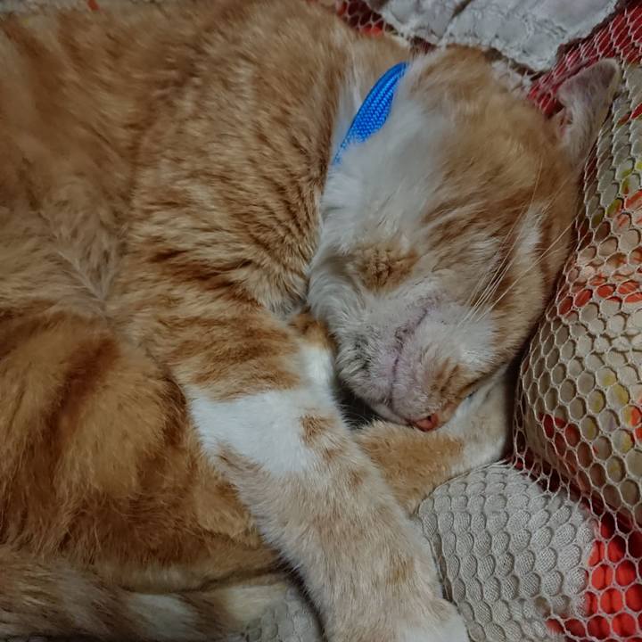 Cd1b5c46 49d1 4eb2 8c92 6cde6208f0b9 1555156919342