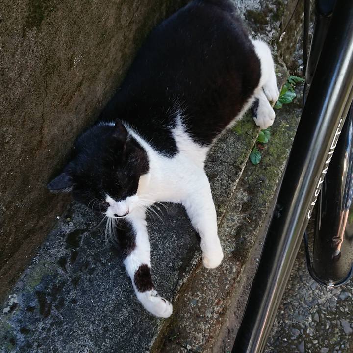 Cd1b9924 e0ab 41dc b133 186f768516f2 1660275536776