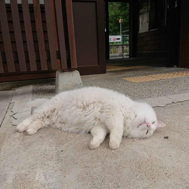 Cd1bbc09 1866 4d11 9673 10de25ffa976 1563920606363