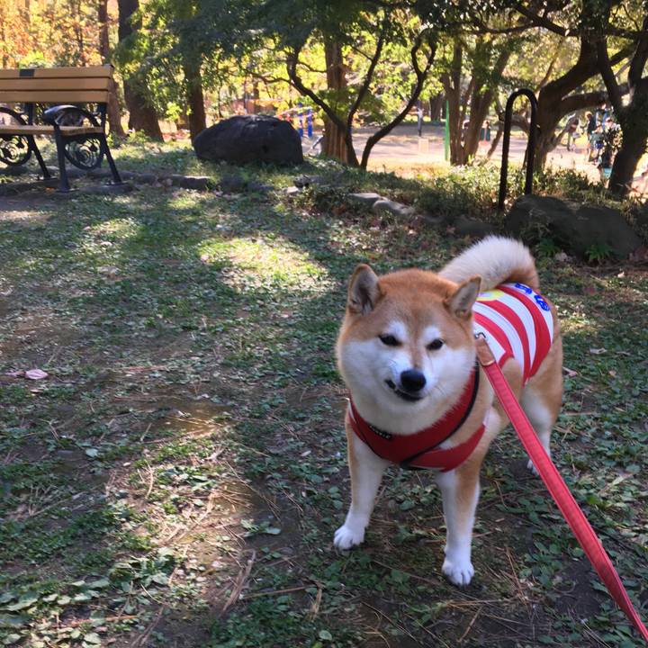 Cd1bc917 676b 41a4 a593 711be5af2548 1606709791435