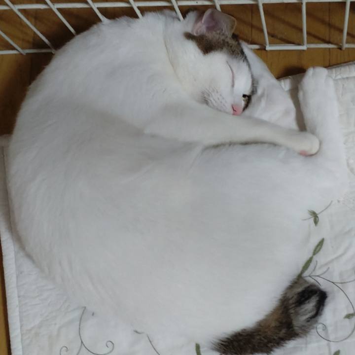 Cd1bee84 c399 48df 86b5 eb30688ac9f7 1672393047943