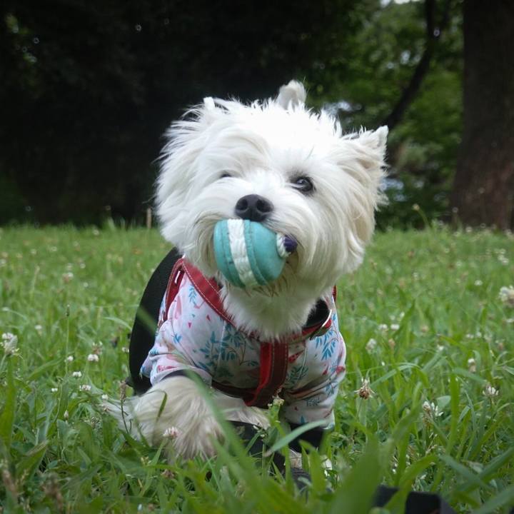 Cd1c23c2 c9c1 4d7e b781 2cff43149c1b 1530100896886