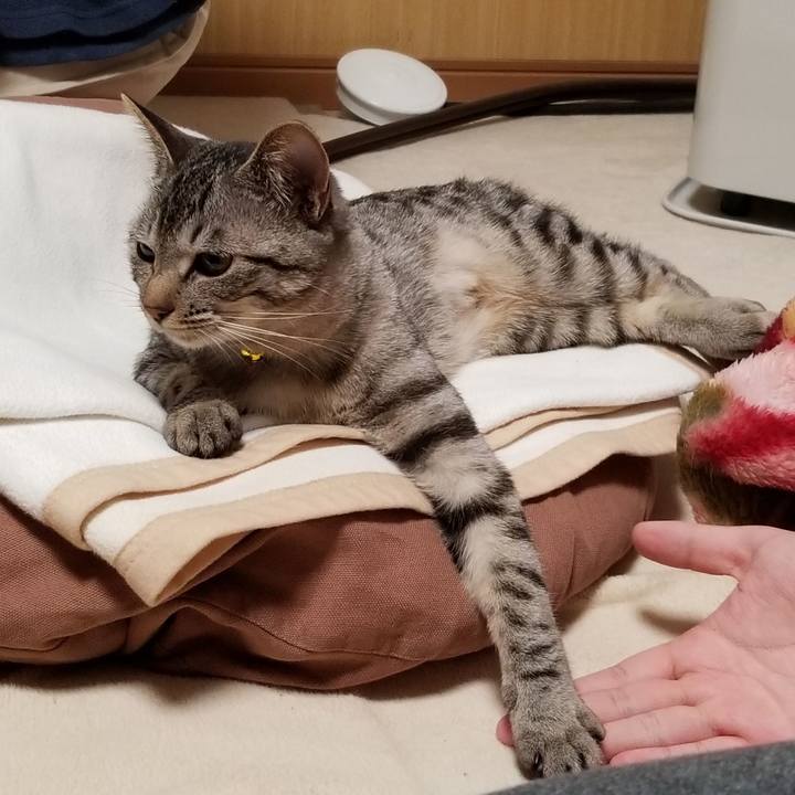 Cd1c2a9b 3e4c 4ccf bdf1 75160bca0c2d 1677939901468