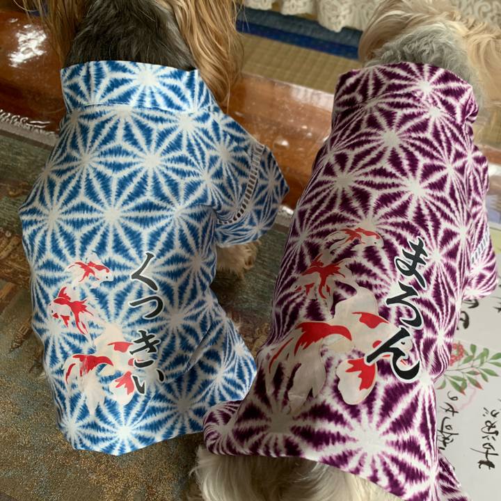 Cd1c37cf 3fef 4e33 b1e2 1acda3422645 1563095568725