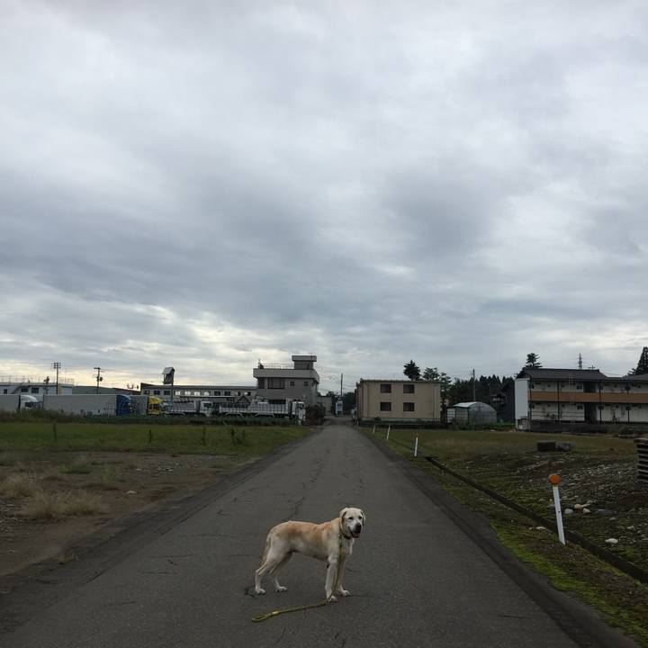 Cd1c3ebd 2a43 491a b88b 3932de65cae3 1539743102199