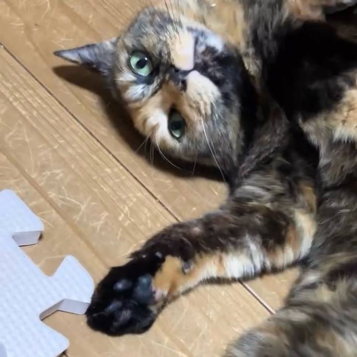 Cd1c8330 2b10 4160 bf9d ed14345c10d8 1733390770402