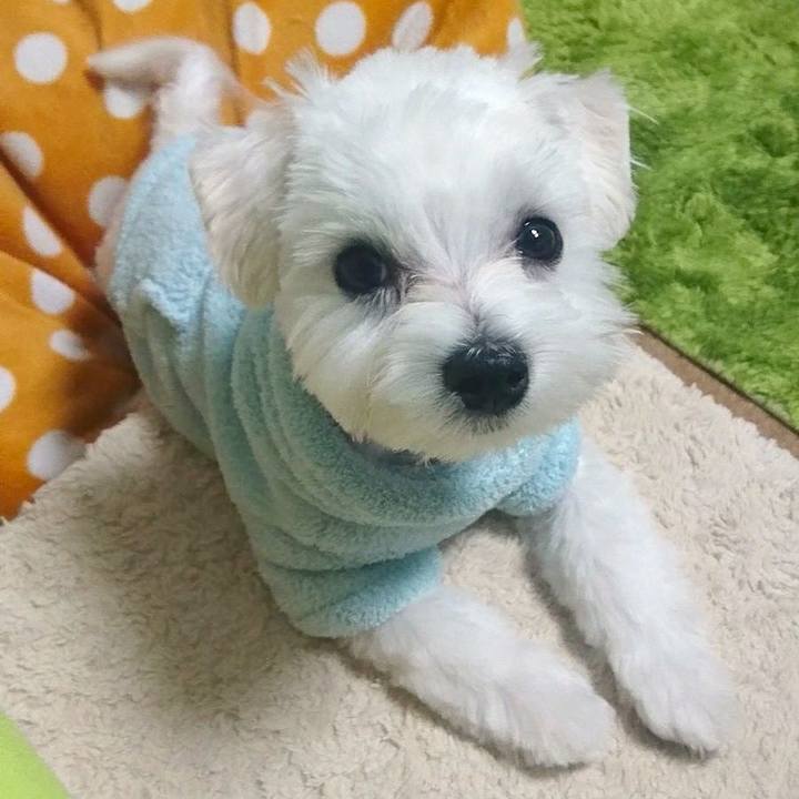 Cd1d225f 70ed 4bad 802a 11a50be26ce0 1512560406971