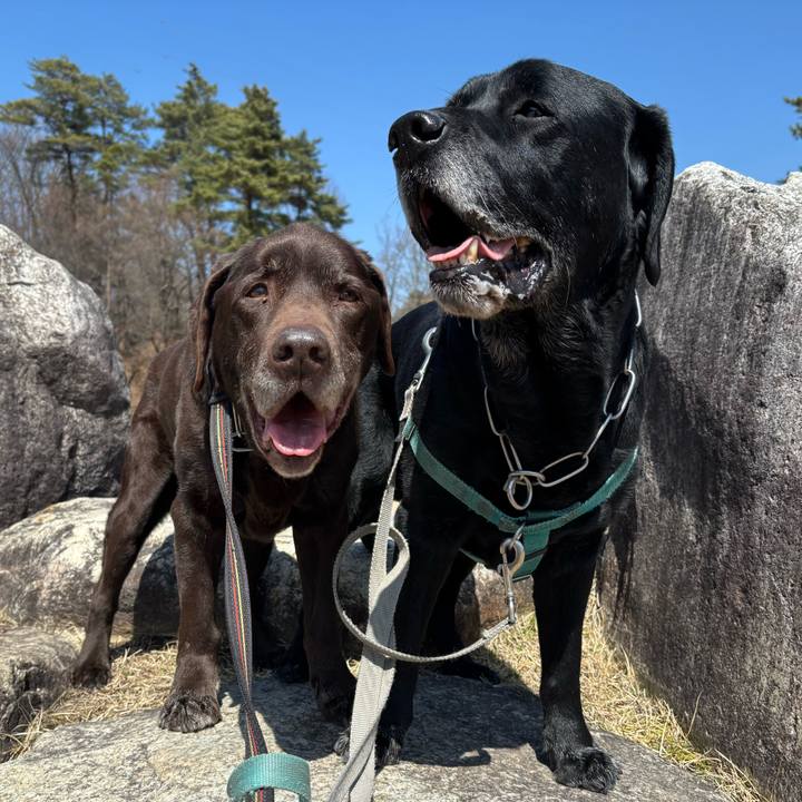 Cd1d68ca 1e2d 48e2 9f13 56212152dae6 1774177131443