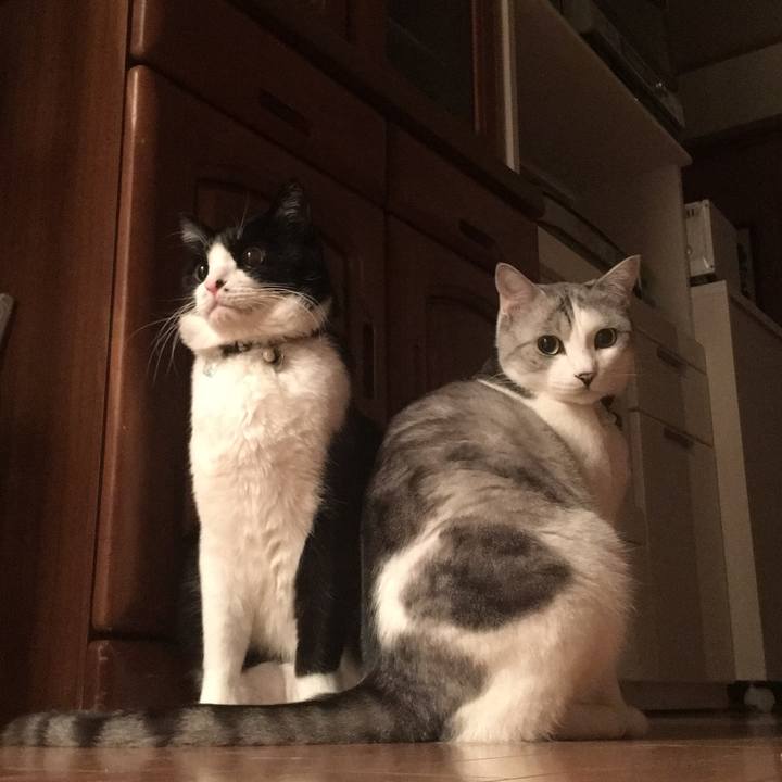 Cd1d6f5a f7dd 4568 bea5 9bde9401d520 1515769014294